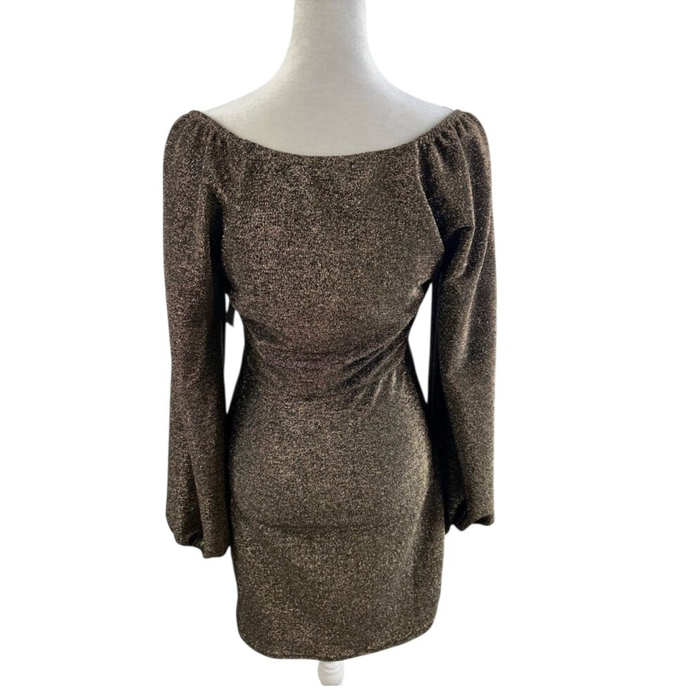 All in Favor Metallic Sheath Long Sleeve Dress Size M